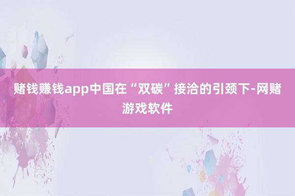 赌钱赚钱app中国在“双碳”接洽的引颈下-网赌游戏软件