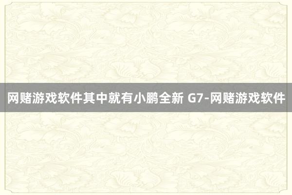网赌游戏软件其中就有小鹏全新 G7-网赌游戏软件