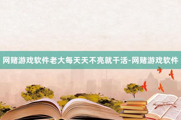 网赌游戏软件老大每天天不亮就干活-网赌游戏软件