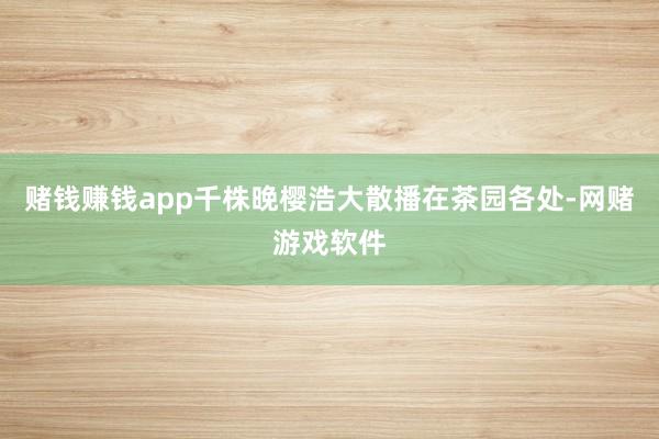 赌钱赚钱app千株晚樱浩大散播在茶园各处-网赌游戏软件