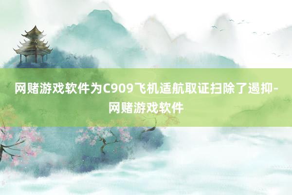 网赌游戏软件为C909飞机适航取证扫除了遏抑-网赌游戏软件