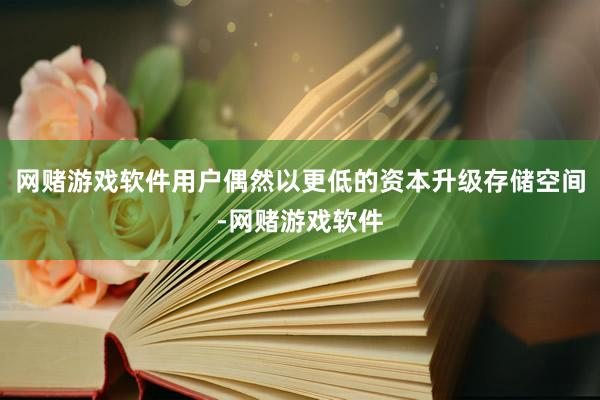 网赌游戏软件用户偶然以更低的资本升级存储空间-网赌游戏软件