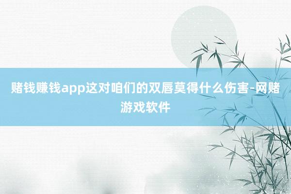赌钱赚钱app这对咱们的双唇莫得什么伤害-网赌游戏软件