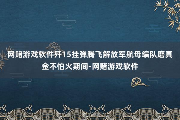 网赌游戏软件歼15挂弹腾飞解放军航母编队磨真金不怕火期间-网赌游戏软件
