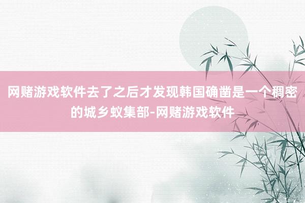 网赌游戏软件去了之后才发现韩国确凿是一个稠密的城乡蚁集部-网赌游戏软件