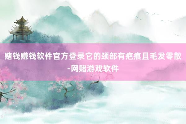 赌钱赚钱软件官方登录它的颈部有疤痕且毛发零散-网赌游戏软件