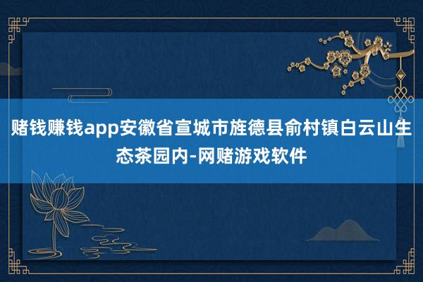 赌钱赚钱app安徽省宣城市旌德县俞村镇白云山生态茶园内-网赌游戏软件