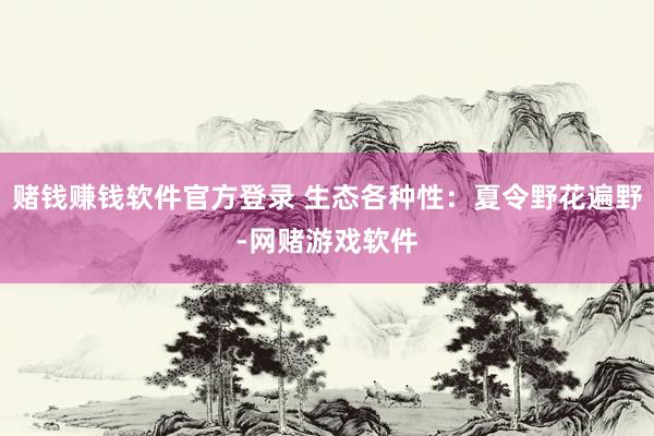 赌钱赚钱软件官方登录 生态各种性：夏令野花遍野-网赌游戏软件