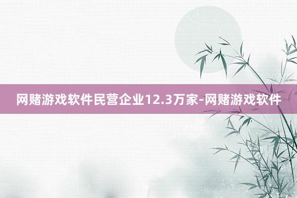 网赌游戏软件民营企业12.3万家-网赌游戏软件