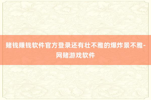 赌钱赚钱软件官方登录还有壮不雅的爆炸景不雅-网赌游戏软件