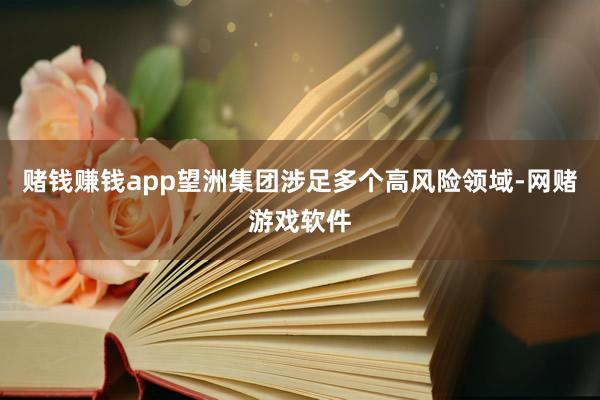 赌钱赚钱app望洲集团涉足多个高风险领域-网赌游戏软件
