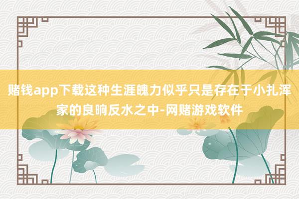 赌钱app下载这种生涯魄力似乎只是存在于小扎浑家的良晌反水之中-网赌游戏软件