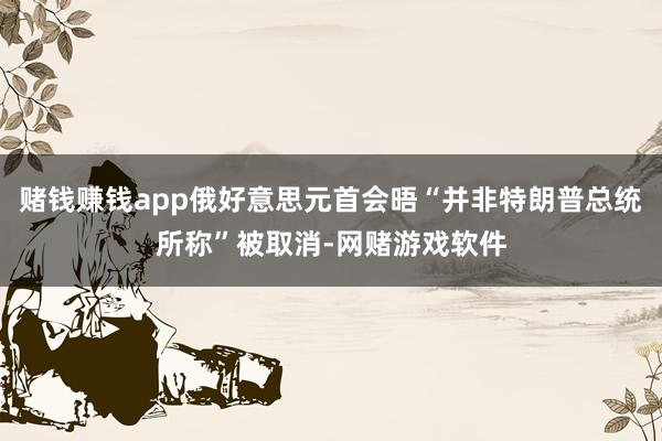 赌钱赚钱app俄好意思元首会晤“并非特朗普总统所称”被取消-网赌游戏软件
