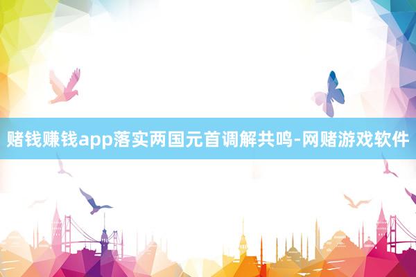 赌钱赚钱app落实两国元首调解共鸣-网赌游戏软件