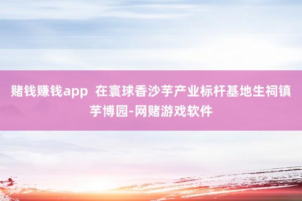 赌钱赚钱app 在寰球香沙芋产业标杆基地生祠镇芋博园-网赌游戏软件