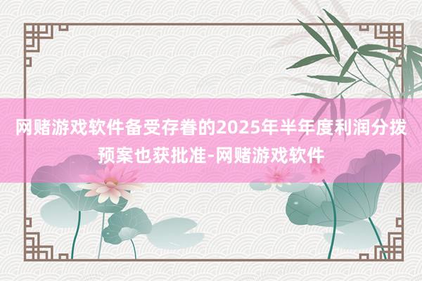 网赌游戏软件备受存眷的2025年半年度利润分拨预案也获批准-网赌游戏软件