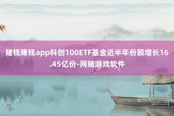 赌钱赚钱app科创100ETF基金近半年份额增长16.45亿份-网赌游戏软件