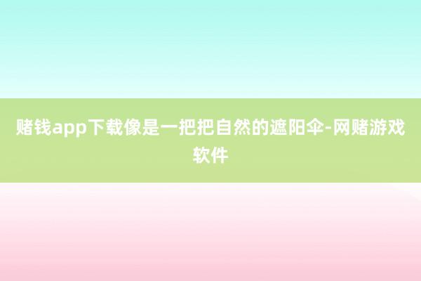 赌钱app下载像是一把把自然的遮阳伞-网赌游戏软件