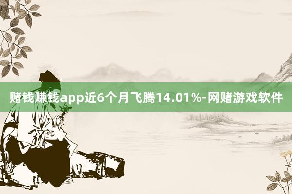赌钱赚钱app近6个月飞腾14.01%-网赌游戏软件
