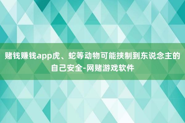 赌钱赚钱app虎、蛇等动物可能挟制到东说念主的自己安全-网赌游戏软件