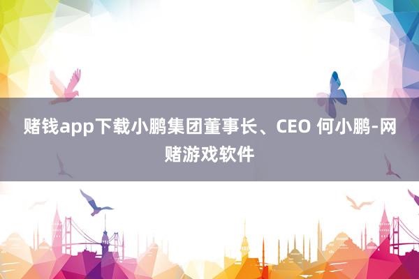 赌钱app下载小鹏集团董事长、CEO 何小鹏-网赌游戏软件