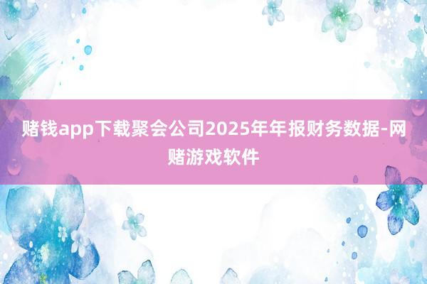 赌钱app下载聚会公司2025年年报财务数据-网赌游戏软件