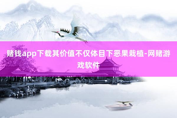 赌钱app下载其价值不仅体目下恶果栽植-网赌游戏软件