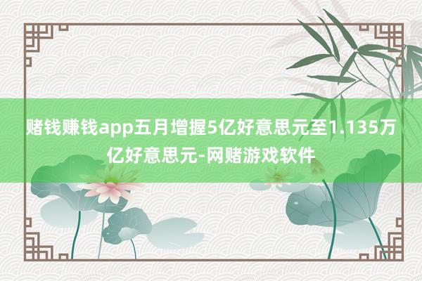 赌钱赚钱app五月增握5亿好意思元至1.135万亿好意思元-网赌游戏软件
