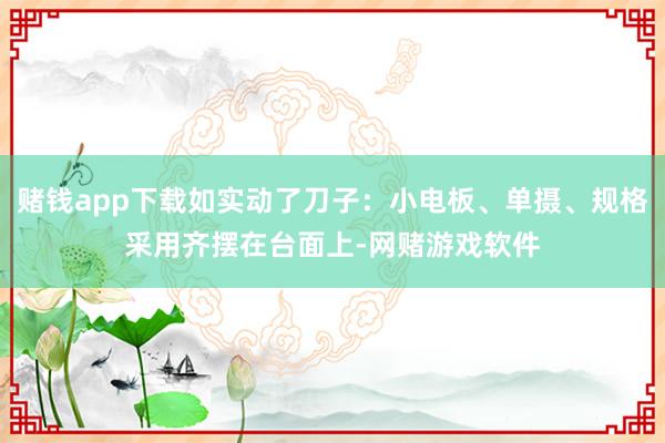 赌钱app下载如实动了刀子：小电板、单摄、规格采用齐摆在台面上-网赌游戏软件