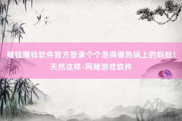 赌钱赚钱软件官方登录个个急得像热锅上的蚂蚁！天然这样-网赌游戏软件